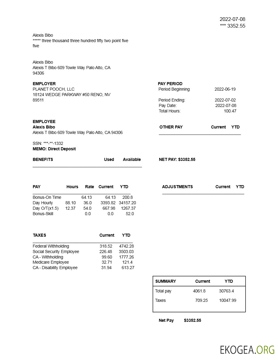 Modèle de déclaration de résultats de PLANET POOCH, LLC aux formats Word et PDF.pdf, 1